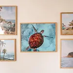 Tropical & Cosy - Vieux Tours