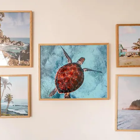 Tropical & Cosy - Vieux Tours