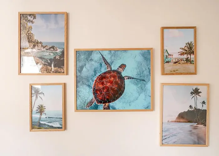 Tropical & Cosy - Vieux Tours